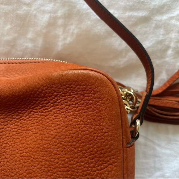 Gucci Disco - Picture 7 of 13